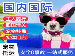 周水子空运国际宠物托运 【国